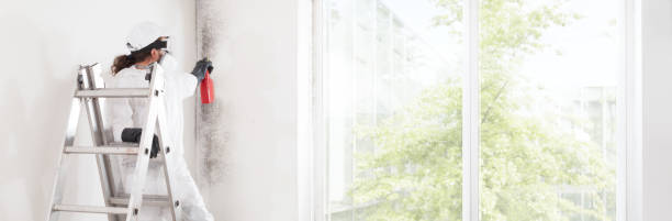 Best HVAC Mold Inspection and Cleaning  in Blackwells Mills, NJ